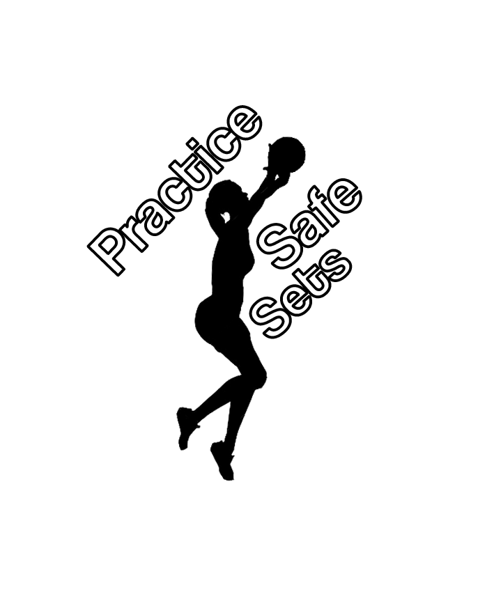 A logo for a beach volleyball team 